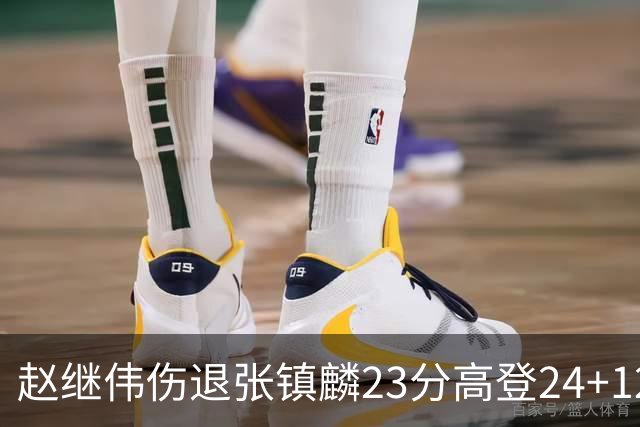赵继伟伤退张镇麟23分高登24+12 辽宁大胜四川